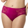 Elila Lace And Microfiber Panty 3503