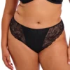 Elomi Brianna Thong Panty EL8087