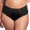 Goddess Sarah Full Coverage Brief Panty GD6025