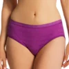 Hanes Ultimate ComfortFlex Fit Bikini Panty - 4 Pack 42CFF4
