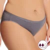 Hanes Comfort Period Moderate Bikini Panty 42FDM3