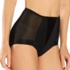 Maison Lejaby Silhouette Shaping Brief Panty 19859