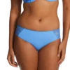 Panache Serene Brief Panty 10302