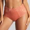 Panache Envy Deep Brief Panty 7283