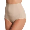 Shadowline Spandex Classics Brief Panty 17005